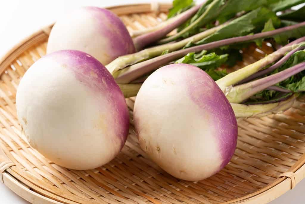 Delicious fresh turnips. Turnip is one of the typical root vegetables eaten all over the world.