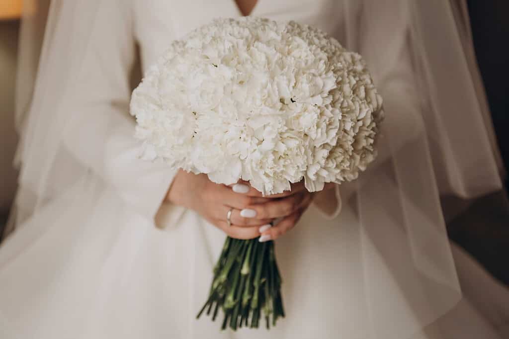 The bride in a white wedding dress is holding a bouquet of white carnations. Wedding, engagement. Bride and groom
