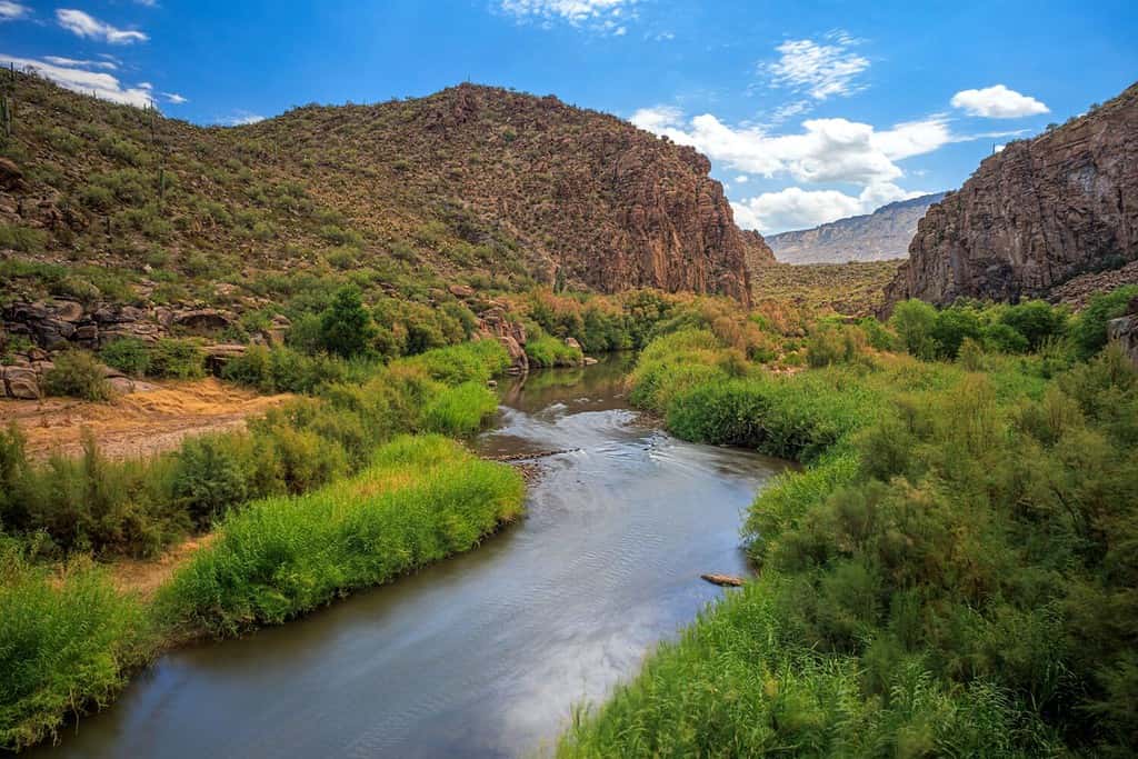 The Salt River in summer near the conjunction with Theodore Roosevelt Lake, Arizona