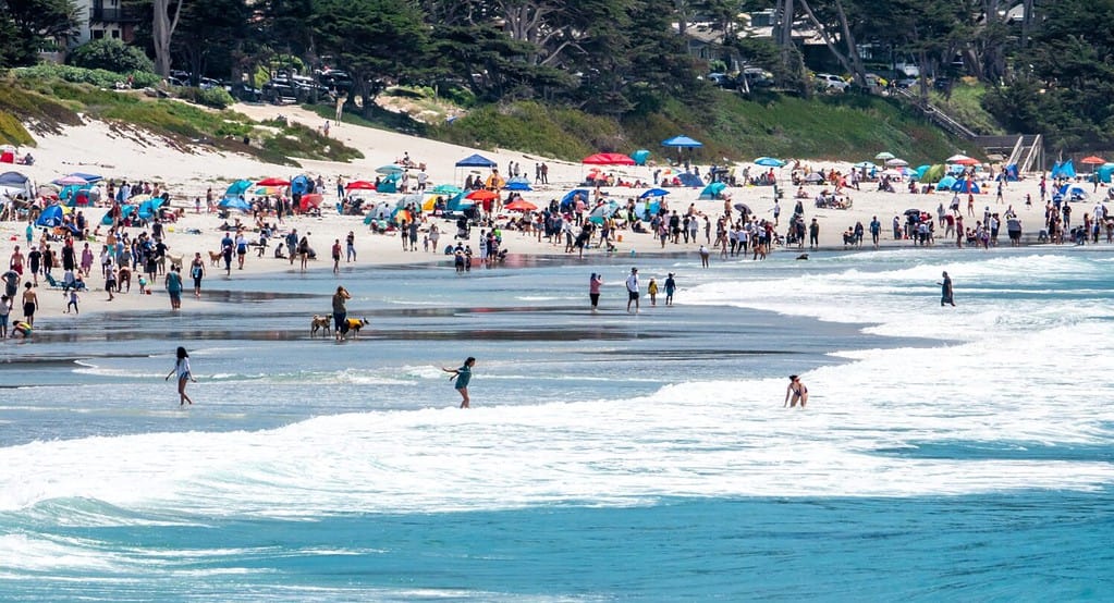 Large numbers of people enjoy the Pacific Coast of California at the dog friendly Carmel Beach, at Carmel by the Sea.