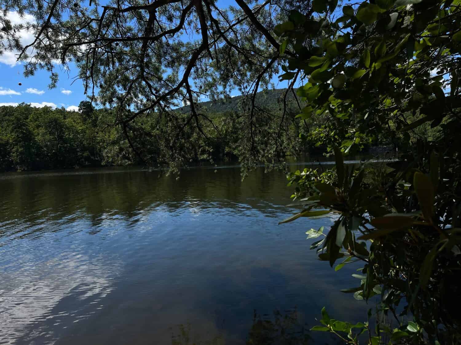 Lake at Hanging Rock Park with tree hanging down