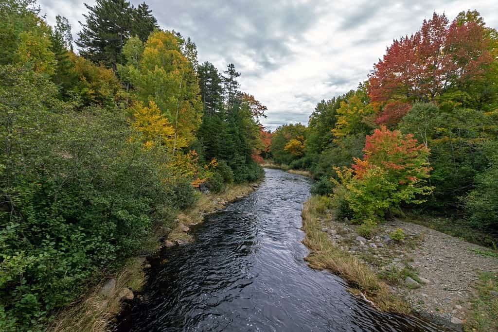 Gulf Hagas in the northen Maine Woods as the Pleasant River is surrounded by early fall foliage