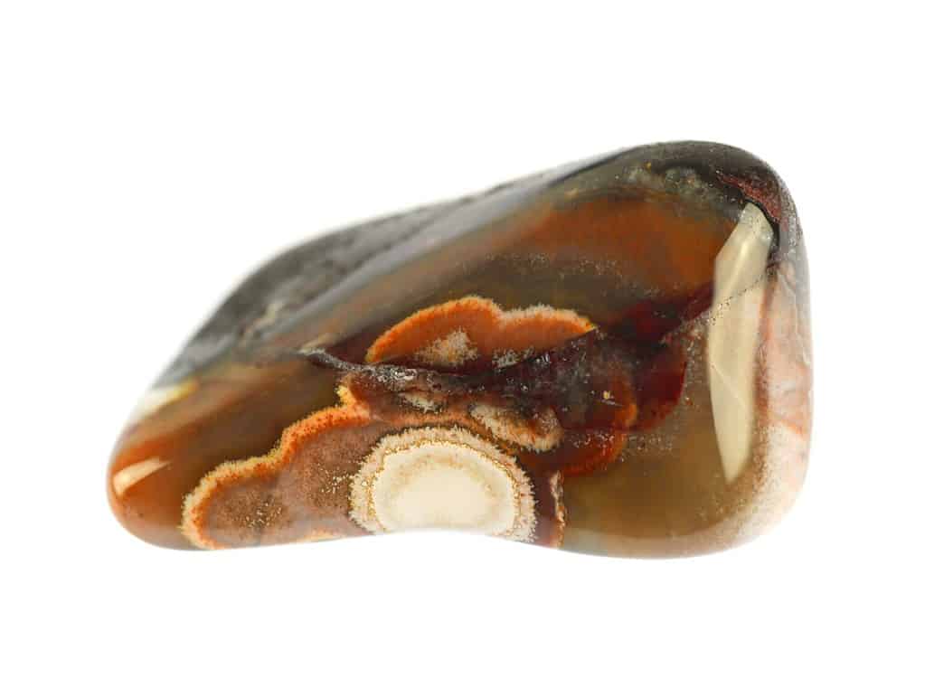 close up on flower agate isolated on white background