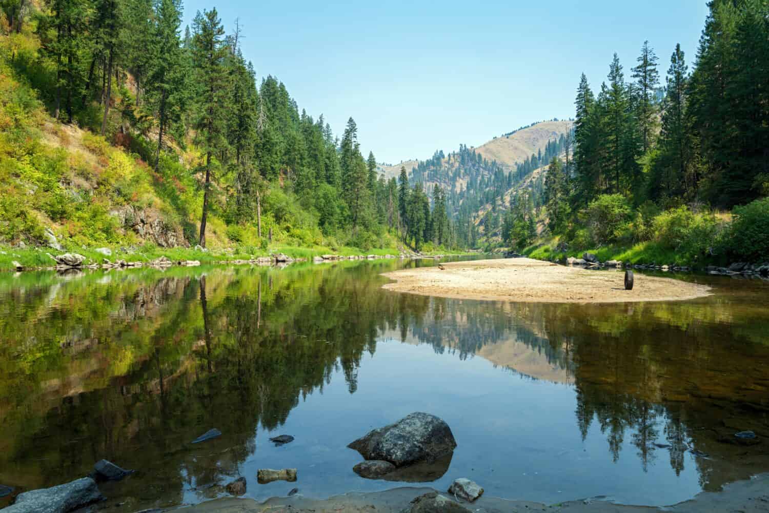 The forest is reflected in the South Fork of the Clearwater River in Idaho, USA