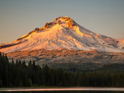 A Discover 6 Animals That Lurk Atop Oregon’s Tallest Mountain