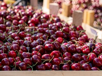 A The 6 U.S. States That Grow the Most Cherries