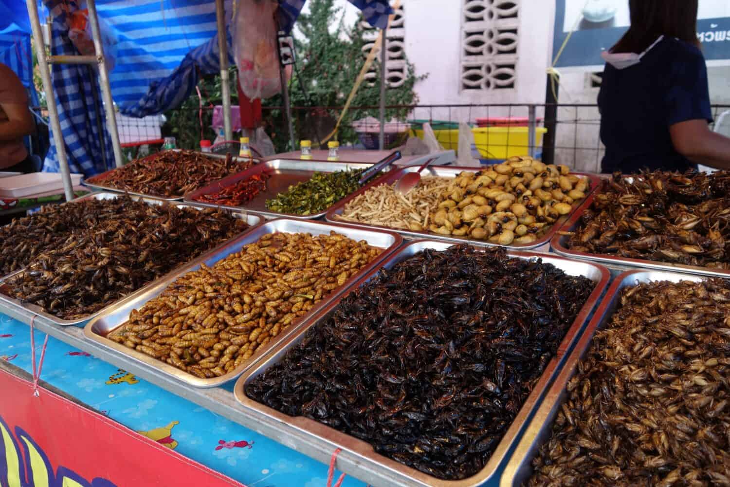 Phuket, Thailand - edible bugs and insects for sale in a Thai market stall
