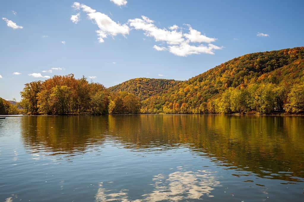 National Wild Scenic Allegheny River fall foliage Warren, Pennsylvania, USA