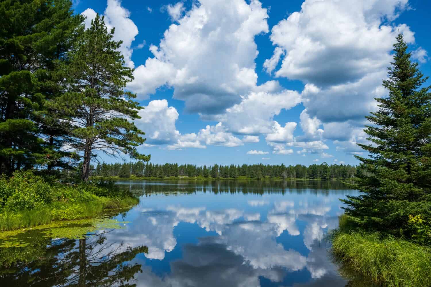 A view from Seney National Wildlife Refuge in Michigan's Upper Peninsula