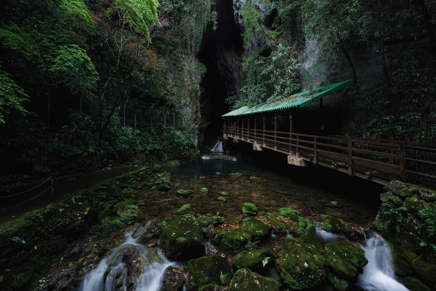 Akiyoshido Cave, Mine City, Yamaguchi Prefecture, Japan