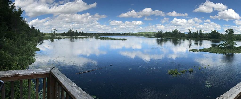 Wild center Tupper Lake NY in the Adirondacks