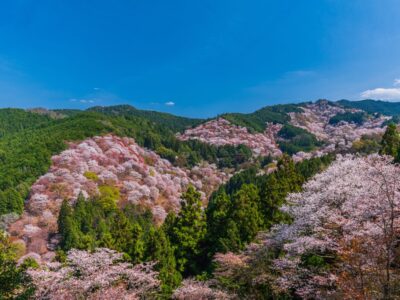 A 12 Beautiful National Parks in Japan
