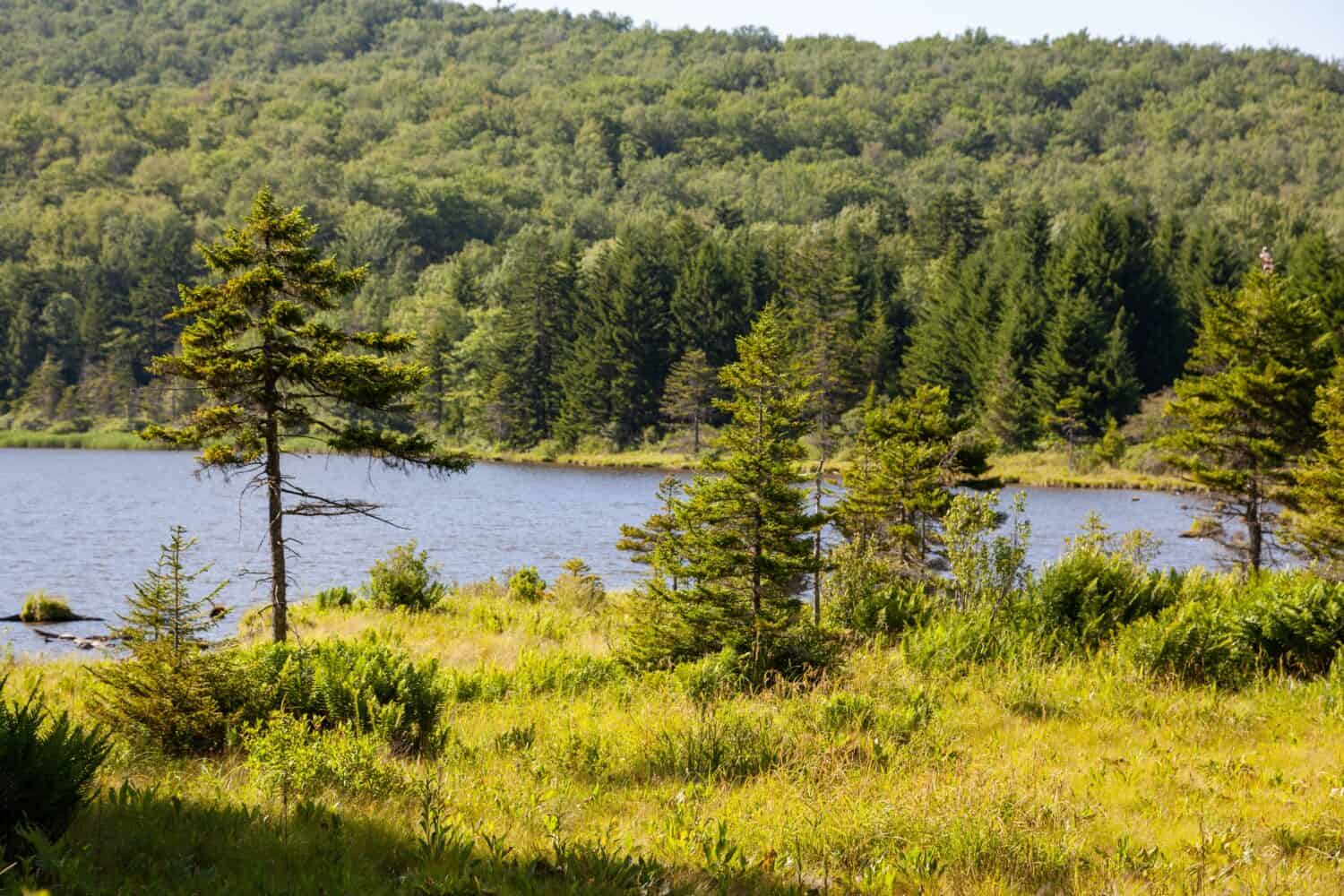 Spruce Knob Lake West Virginia