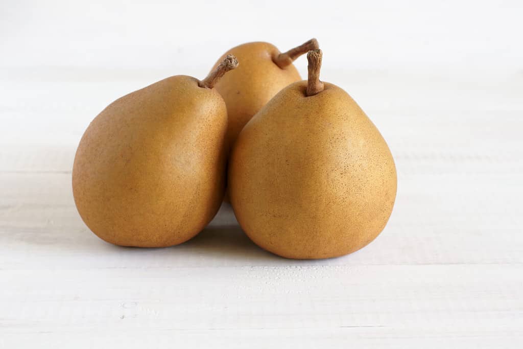Taylor's gold a New Zealand pear variety related to the Comice pear