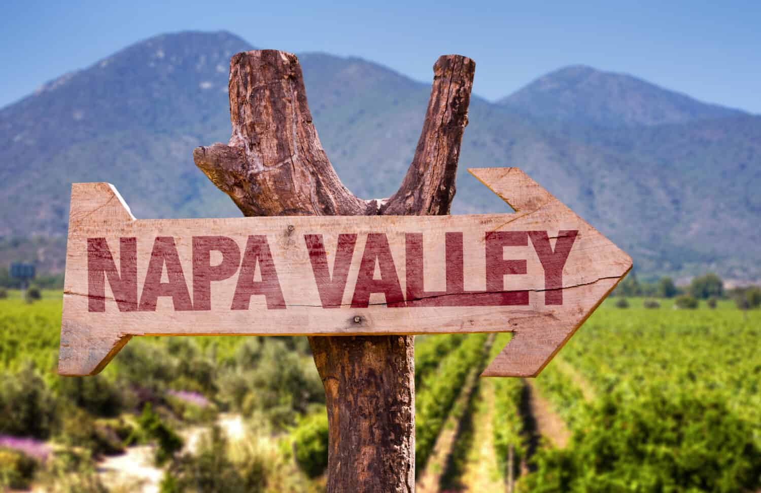 Napa Valley - Wooden Element