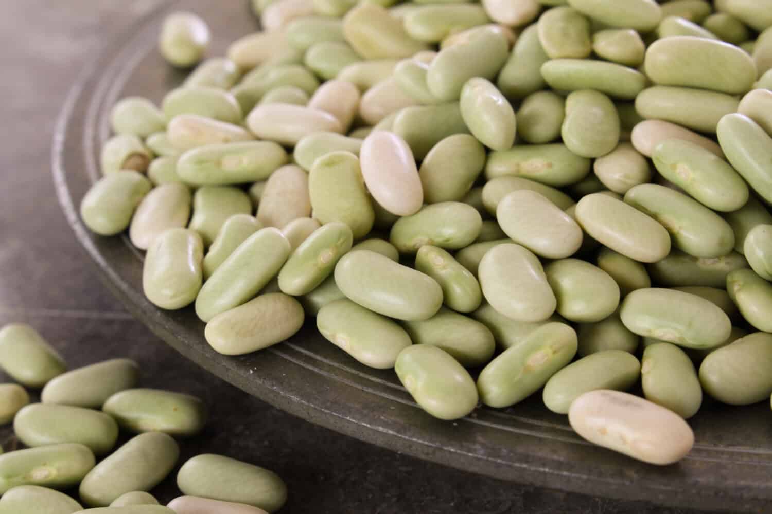 healthy green dried flageolet beans