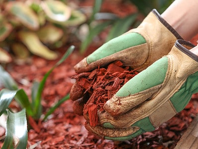 A 4 Reasons to Buy Dyed Mulch For Your Yard