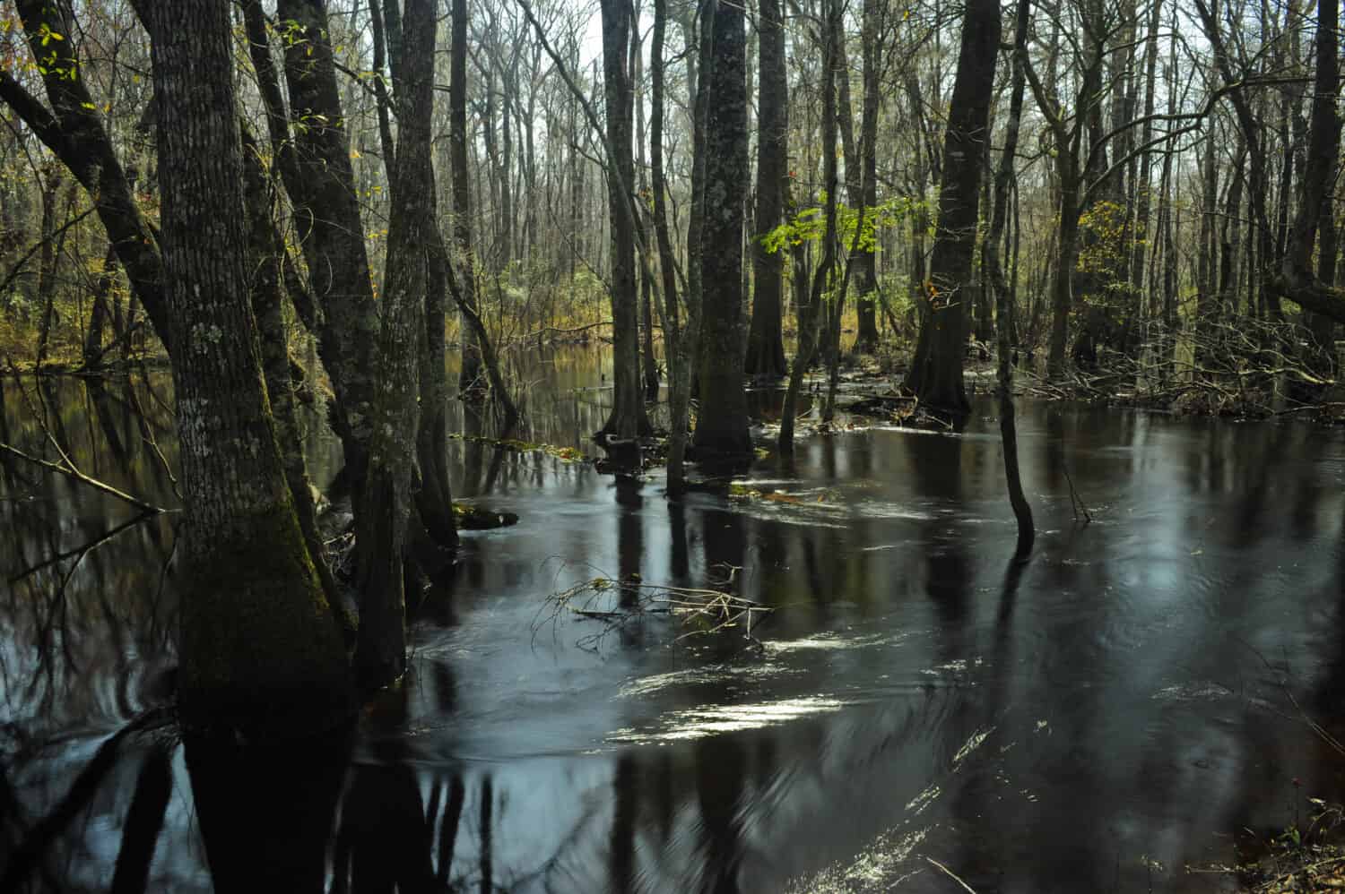 Little Pee Dee river in South Carolina