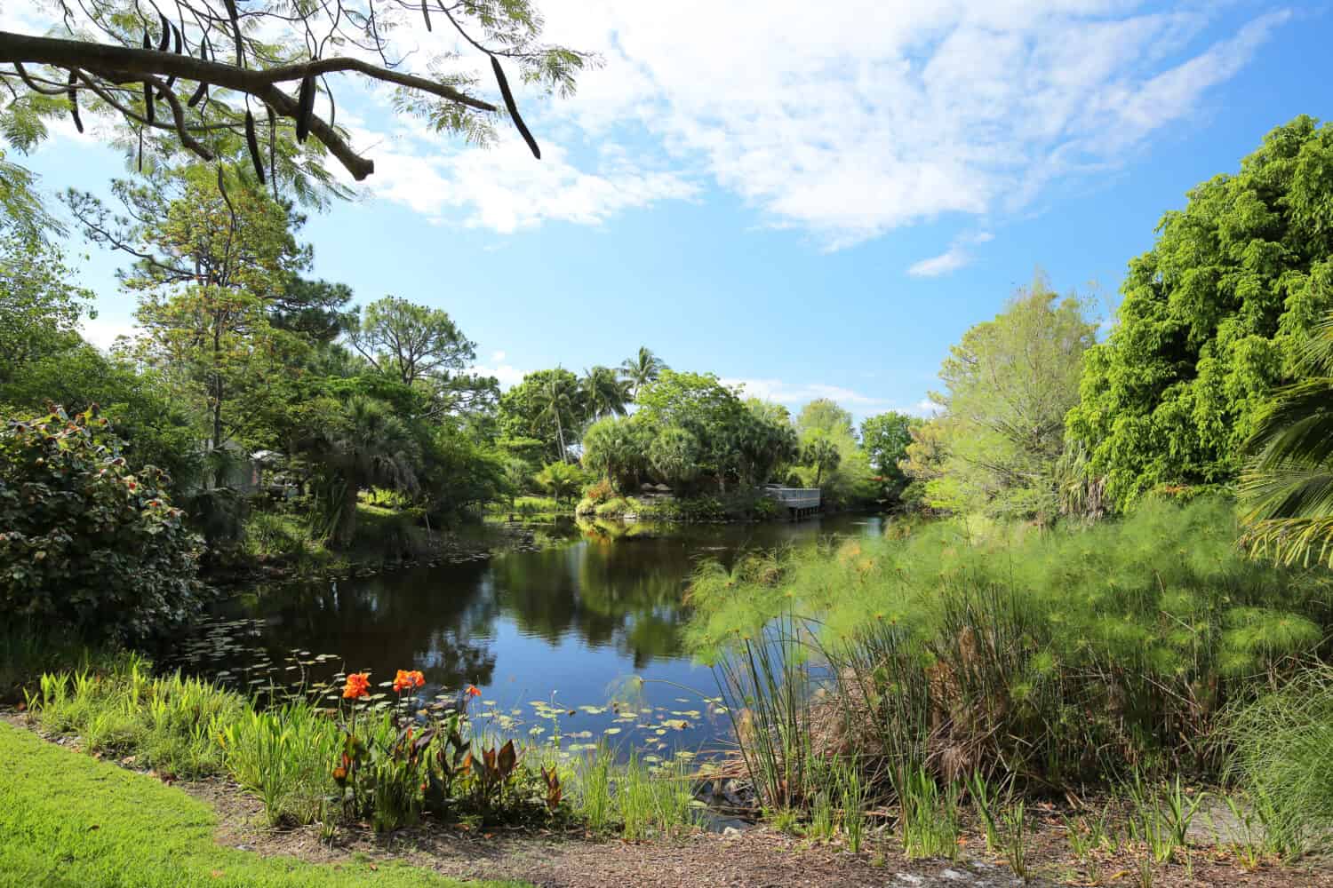 Beautiful vista of Mounts Botanical Gardens in Palm Beach, Florida, USA