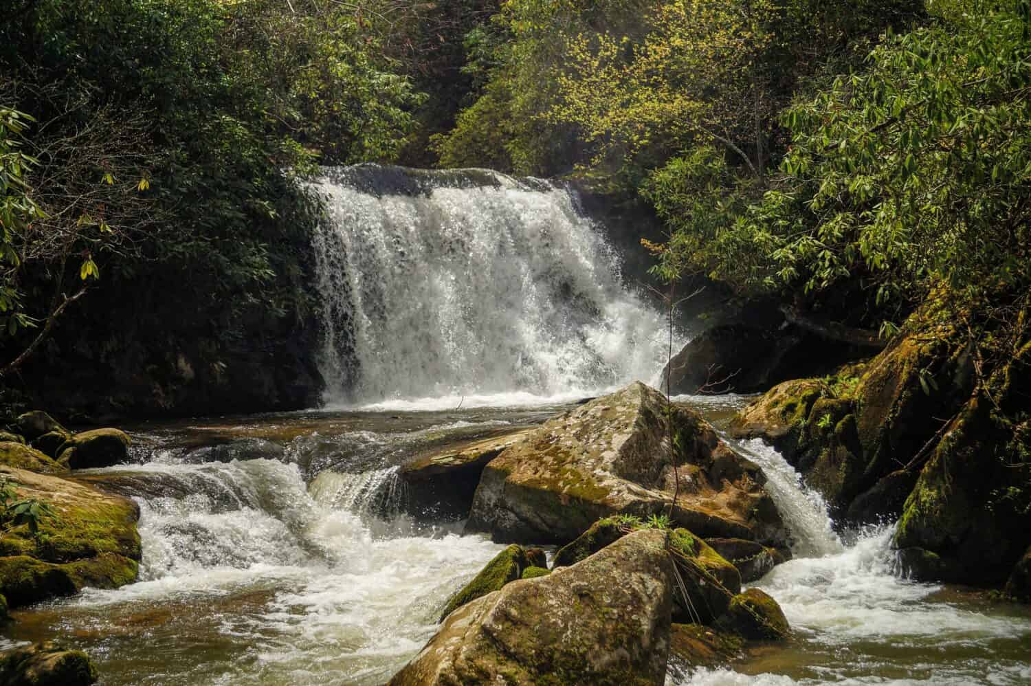 Yellow Creek Falls in SpringRobbinsville, North Carolina