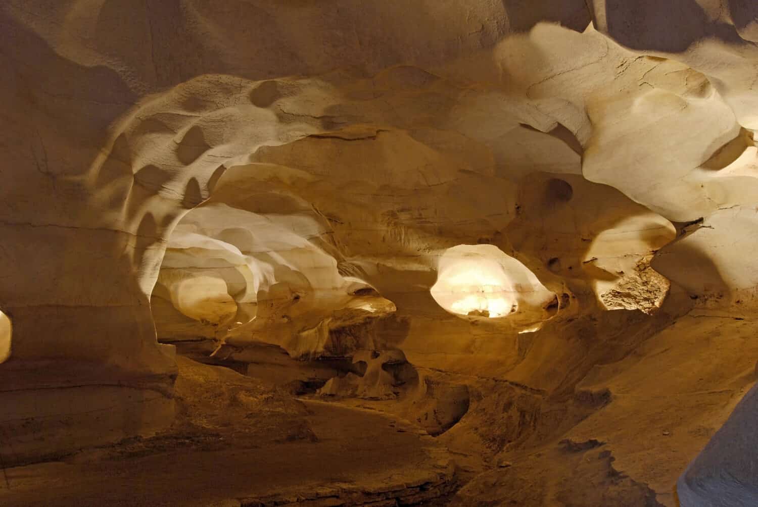 Discover Longhorn Cavern State Park (and What Lurks Inside This Texas ...