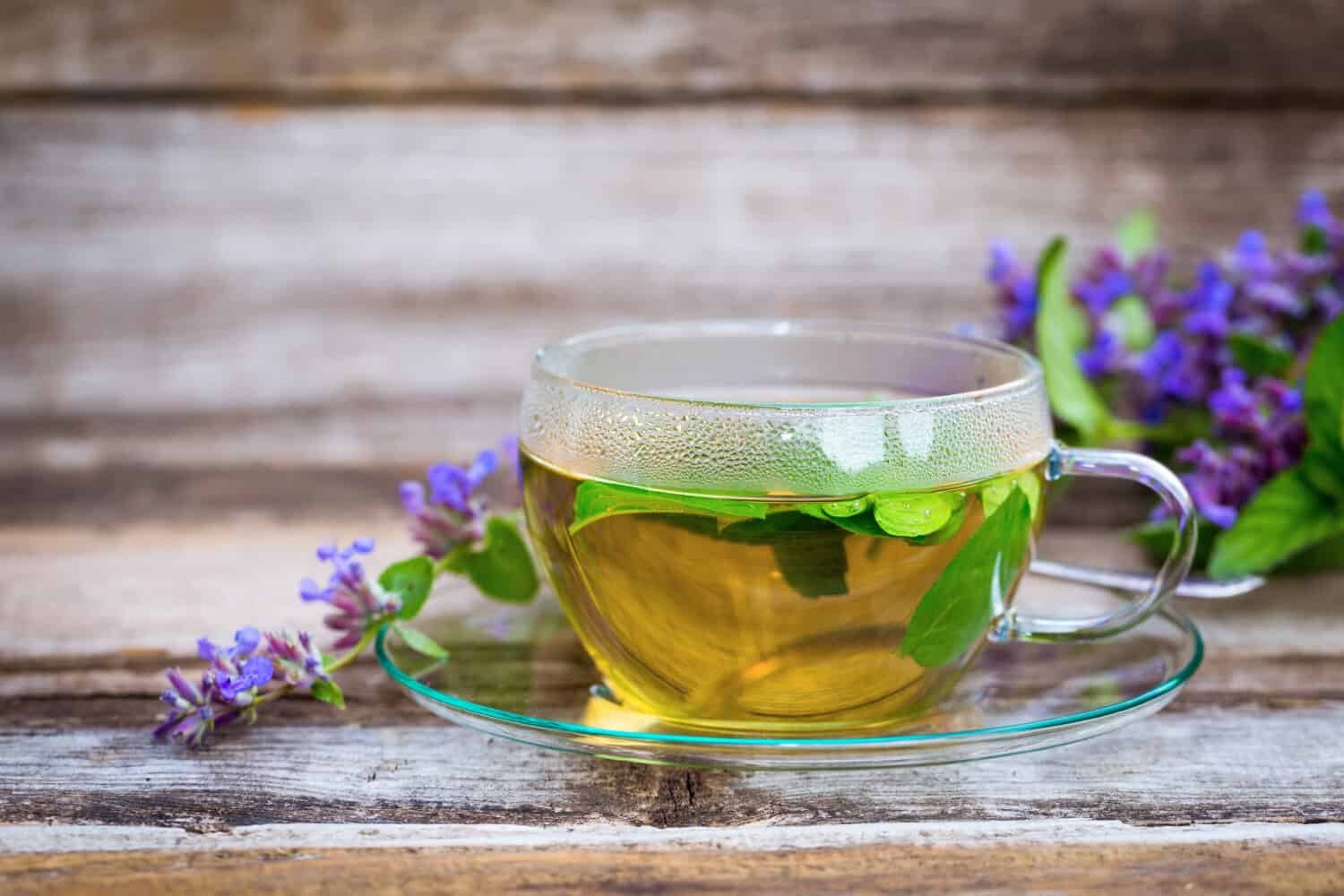 Fresh catnip tea in a glass cup