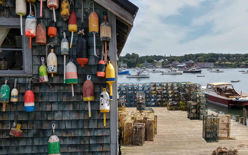 New England Lobster Fishing Dock: Marker buoys for lobster traps decorate the side of a fishing shack on a wharf in Maine.