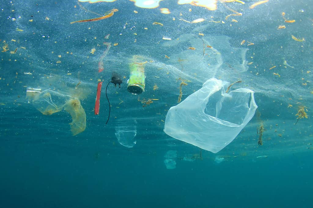 Plastic pollution in ocean