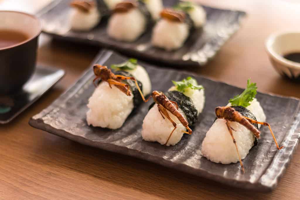 Closeup Sushi set with Grasshopper edible fried insect. Foods are popular in Thailand. Select focus.