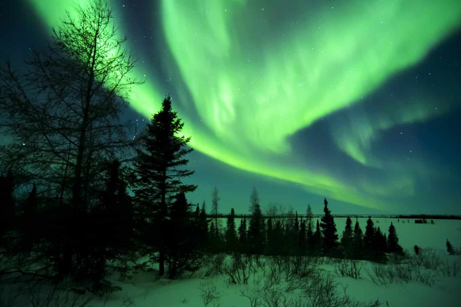 Night sky lit up with aurora borealis, northern lights, Wapusk national park, Manitoba, Canada.