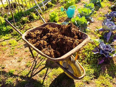 A Best Way To Start a Garden in 27 Steps Any Beginner Can Do