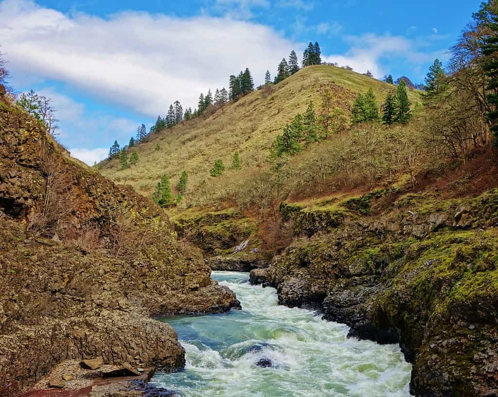 The Klickitat River rushes through a gorge on a beautiful day in Washington state as it heads to its confluence with the Columbia River at the town of Lyle, WA.