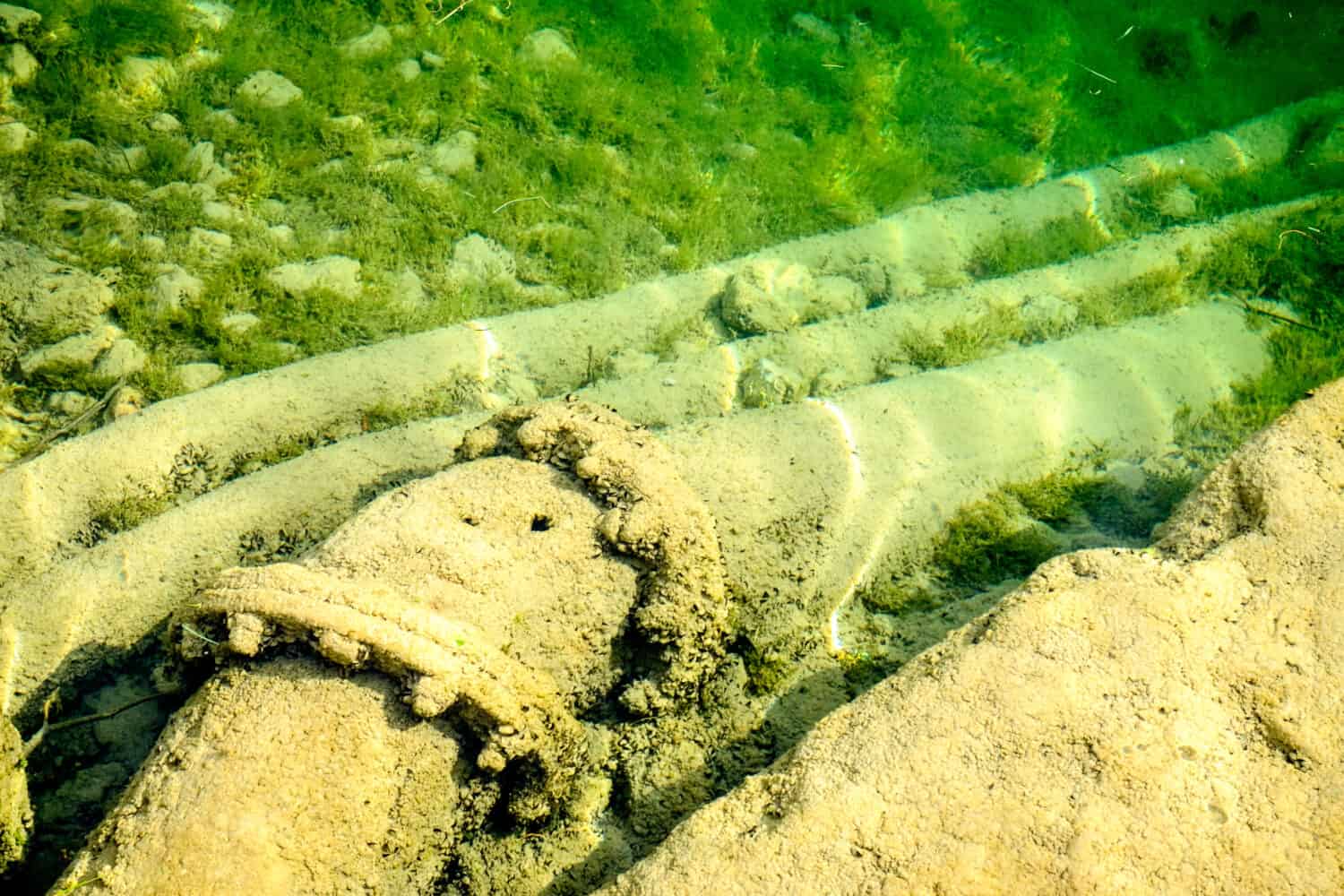 old pipeline under water - photo