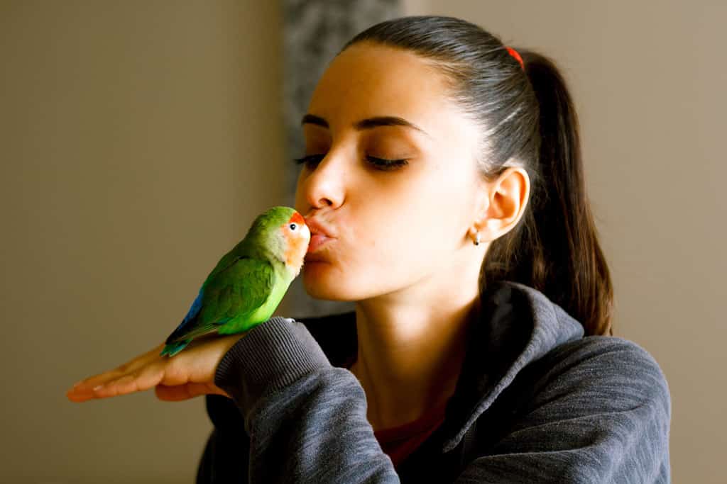 An Orange-winged parrot perched on a young girl's shoulder, curious over her rucksack.