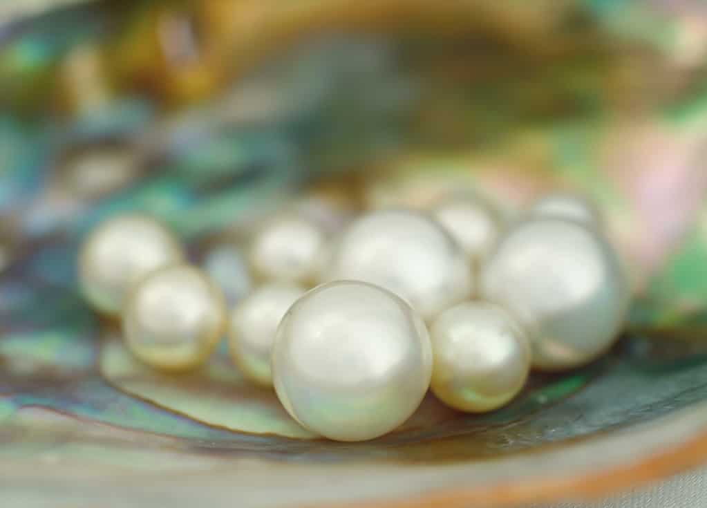 South seas natural pearls