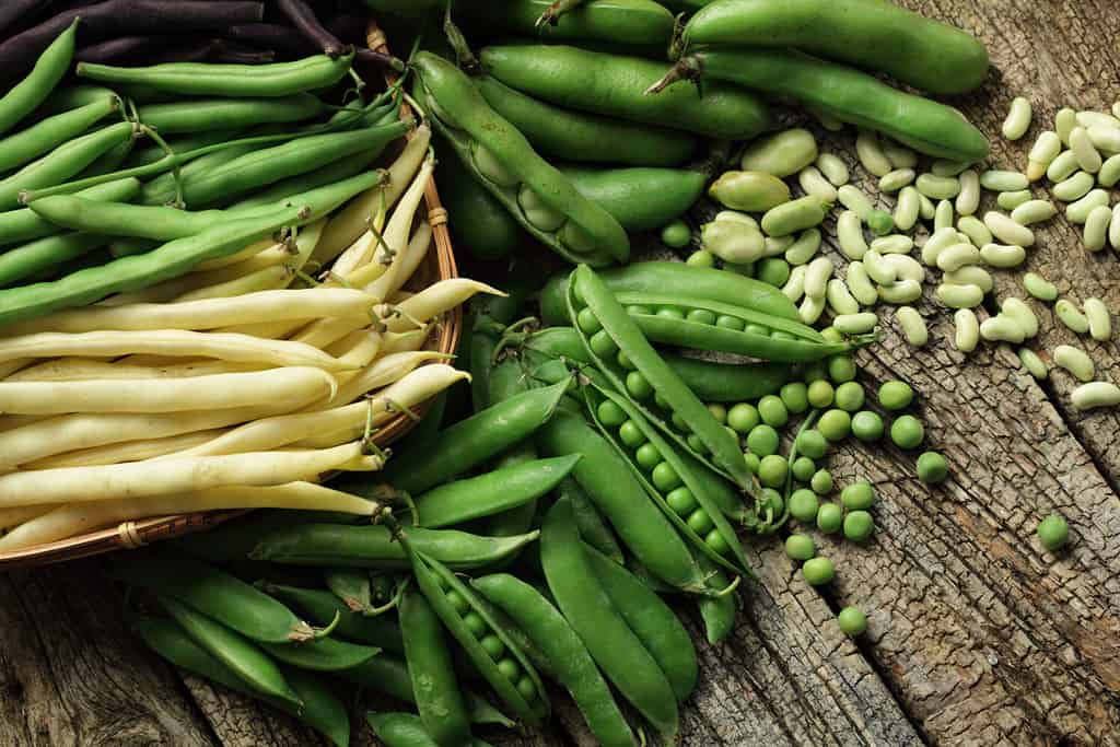 Green, yellow and purple beans, opened green peas on wooden background