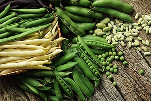 Green Bean Overload! 8 Ways to Make Great Use of a Huge Harvest Picture