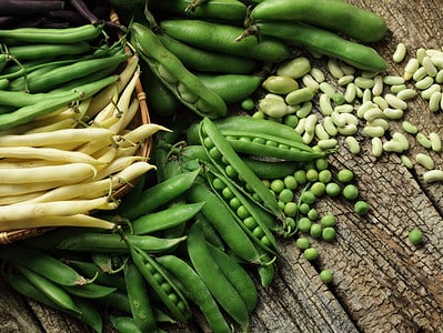 A Green Bean Overload! 8 Ways to Make Great Use of a Huge Harvest