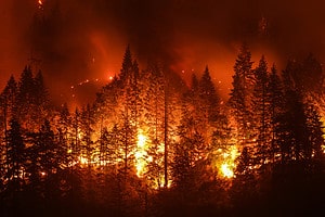 Wildfires in Washington: Peak Season Timing and Highest Risk Areas Picture
