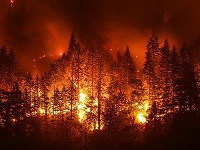 A Wildfires in Washington: Peak Season Timing and Highest Risk Areas