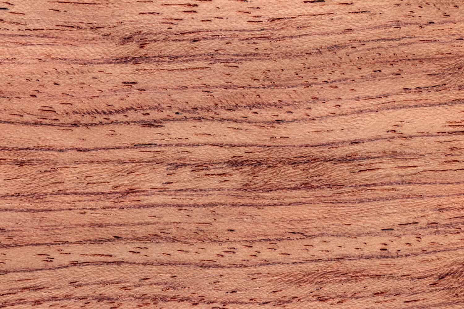 Close up image of natural (unpolished) African Rosewood (Guibourtia Demeusei or more commonly know as Bubinga wood) surface texture