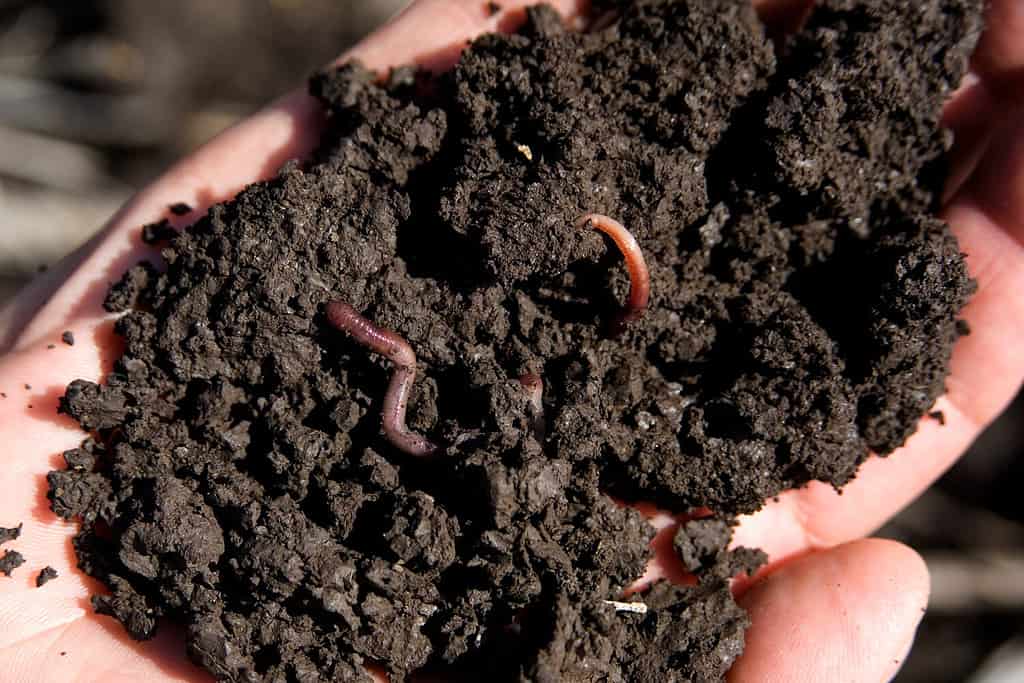 2. Topsoil, Mulch, and Compost Uses