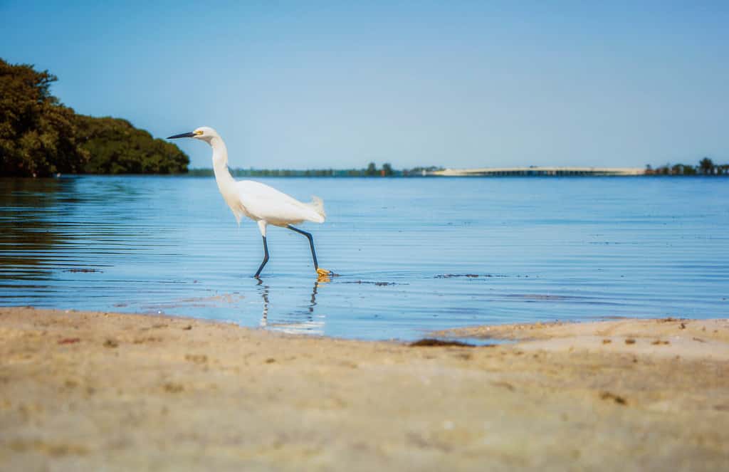 Fort De Soto Park Florida