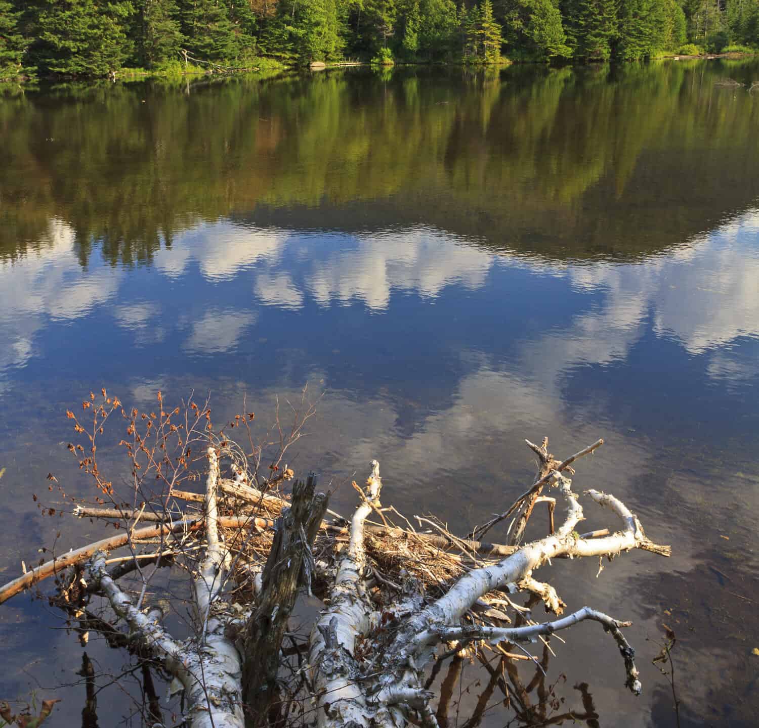 Pehlps Mountain reflected in Marcy Dam Pond in the High Peaks region of the Adirondack Mountains of New York