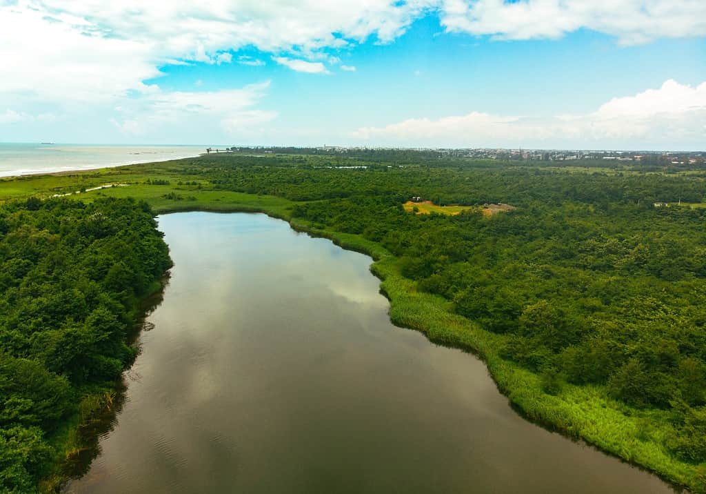 Aerial view lake in Kolkheti national park after rain in summer