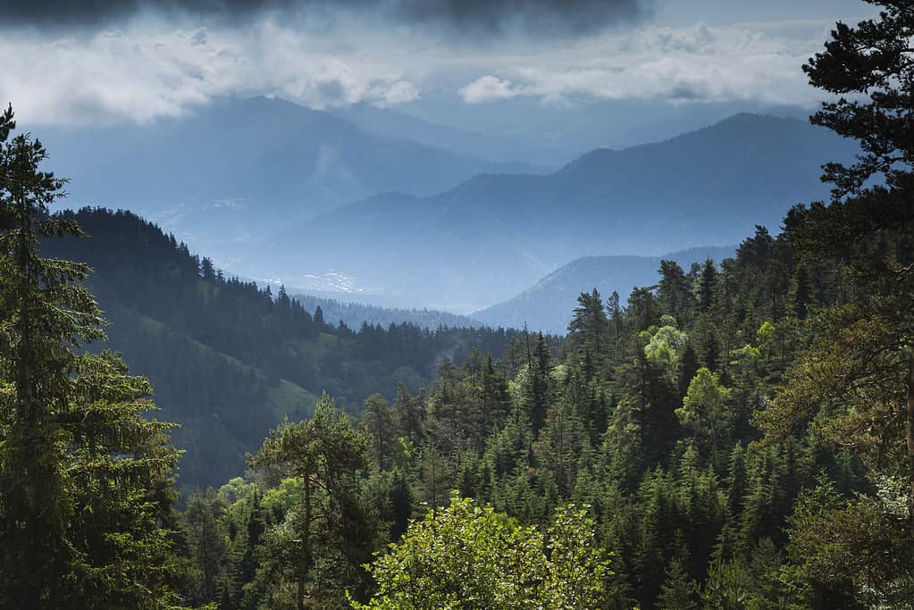 view over the mountains from Borjomi-Kharagauli National Park