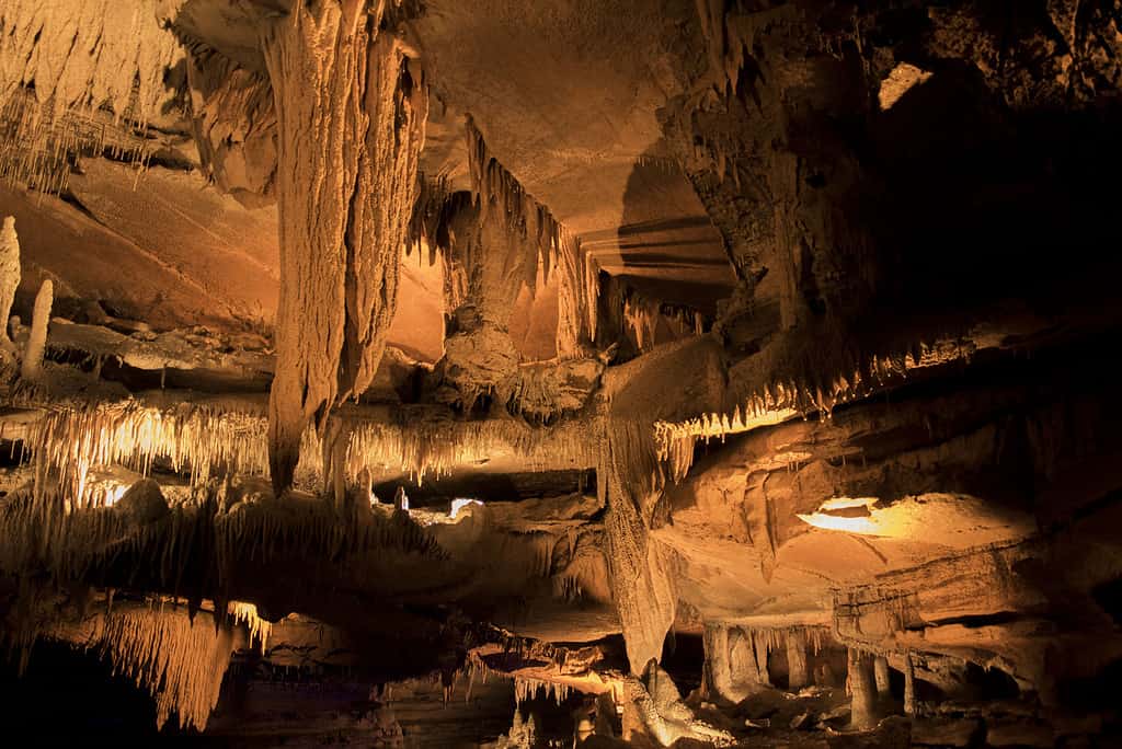 Squire Boon Cavern, Indiana