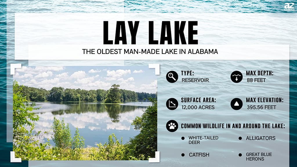 Lay Lake is the Oldest Man-made Lake in Alabama