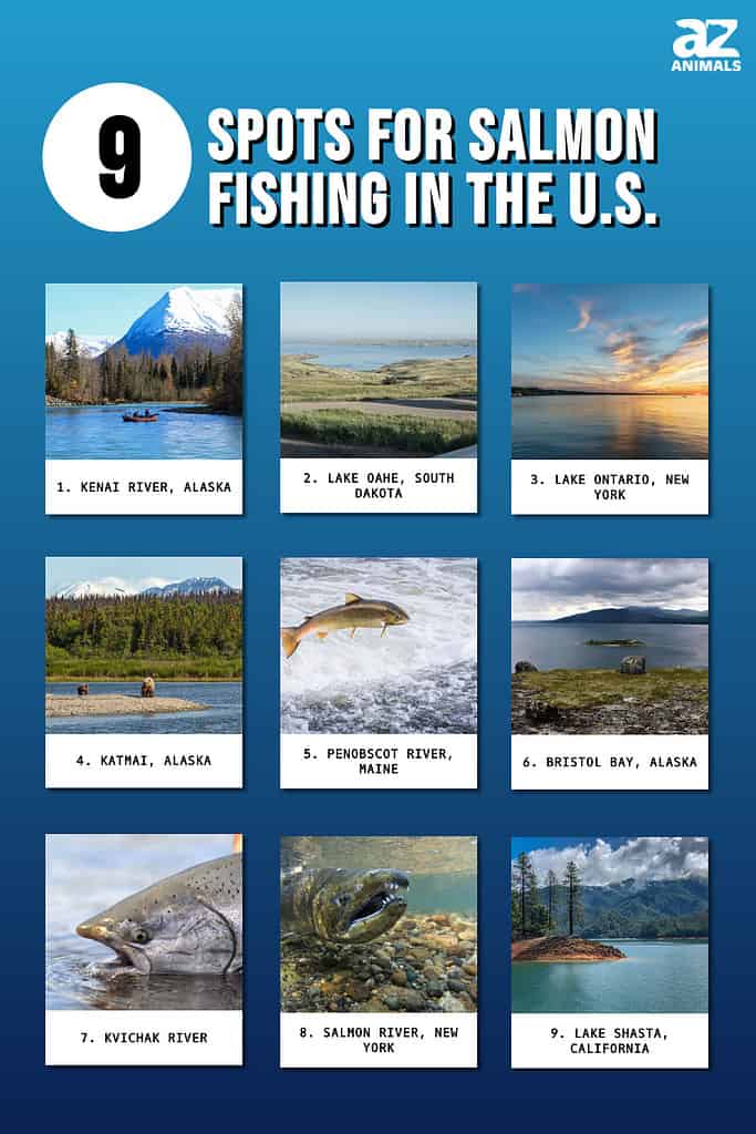 9 Spots for Salmon Fishing in the U.S.