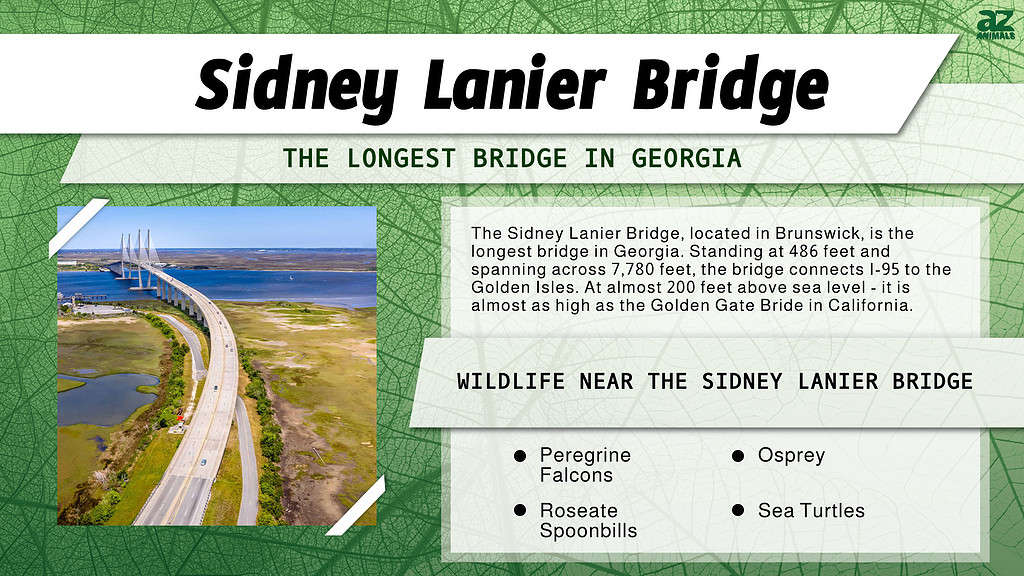The Sidney Lanier Bridge is the Longest Bridge in Georgia